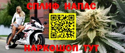 mdpv Первоуральск