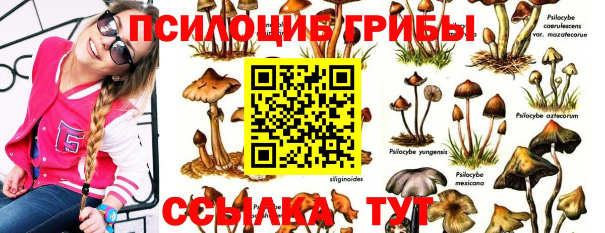 Галлюциногенные грибы мухоморы  Вход с VPN  Саранск 